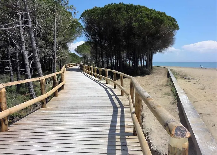 In 38314 * Bibione